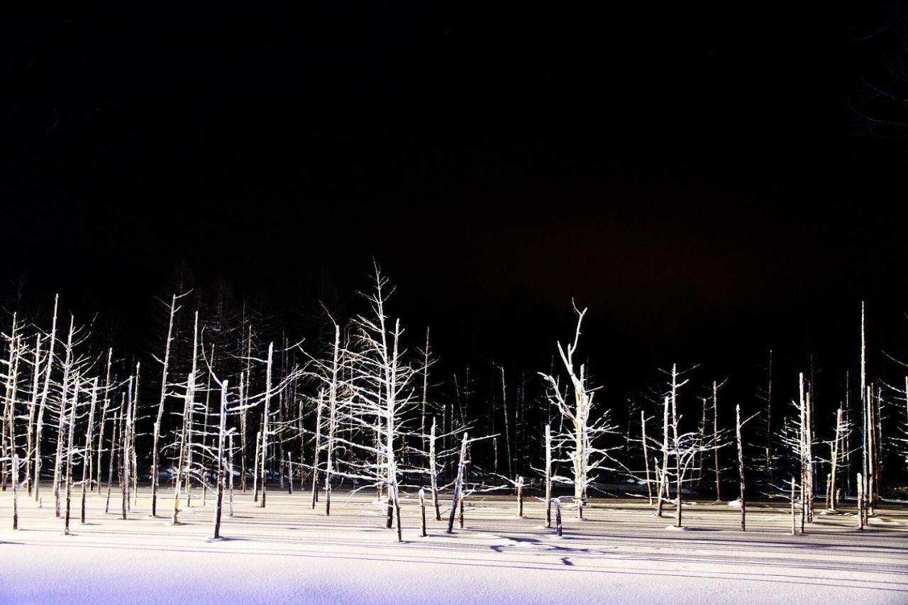 Stay In Passion Asahikawa Zewnętrze zdjęcie